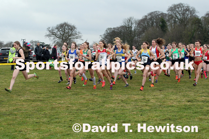 Womens under-17 Northern Cross Country Champs., Camp Hill Estate, Kirklington.  Photo: David T. Hewitson/Sports for All Pics